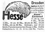Hesse Dresden 1917 925.jpg